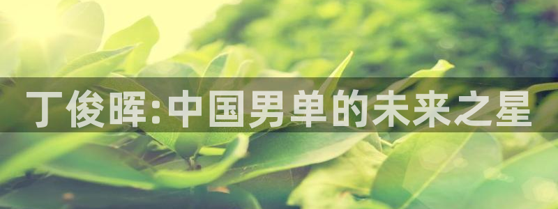 顺盈平台登陆注册