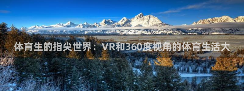 顺盈娱乐入口