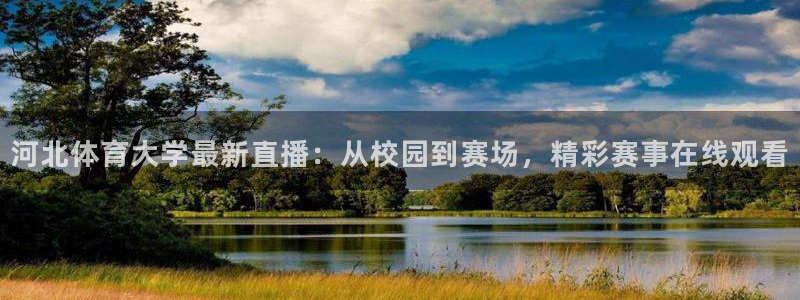 顺盈娱乐登录