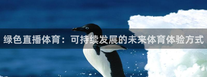 顺盈娱乐地址