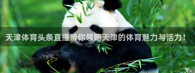 顺盈娱乐入口