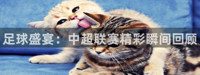 顺盈娱乐在线注册
